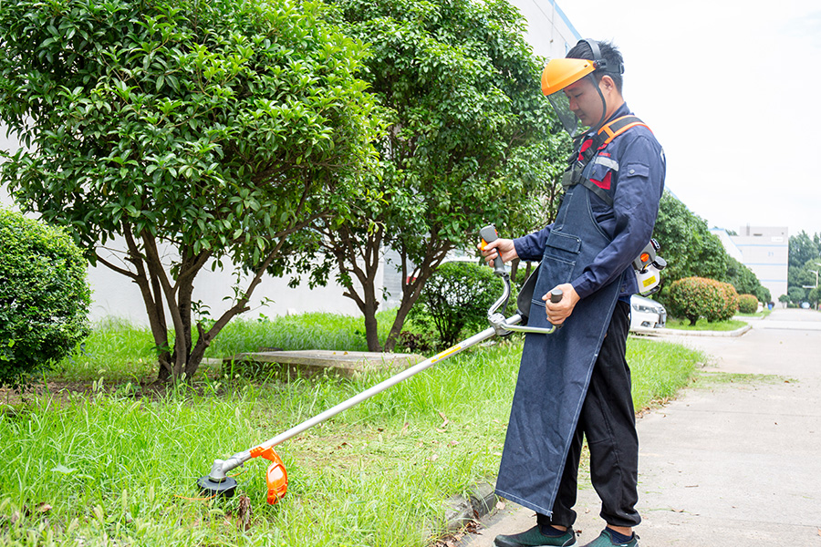 Satu Alat, Tugas Tanpa Akhir: Mengapa Pemangkas Serbaguna adalah Satu-satunya Alat Pekarangan yang Anda Butuhkan