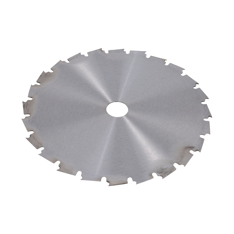 Disk Tip 24T
